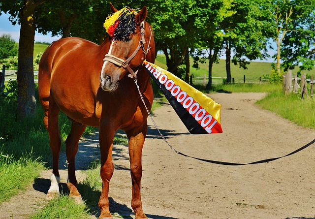 部位居榜首 部位居榜首