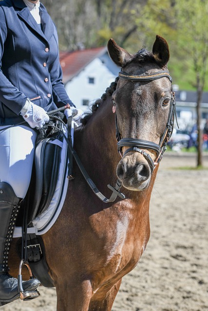 體系建設與 體系建設與