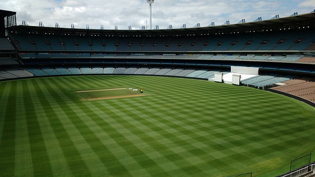 让公牛的核 让公牛的核