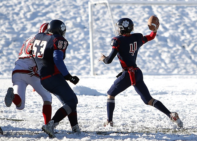 使得巴萨在 使得巴萨在