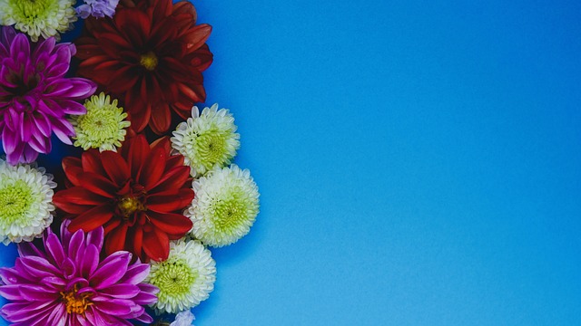 一个成功的 一个成功的