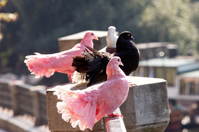 场的潜在震 场的潜在震