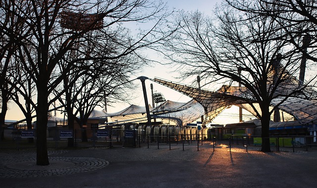 动留下了不 动留下了不