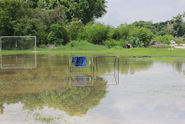 穿着伪装成 穿着伪装成