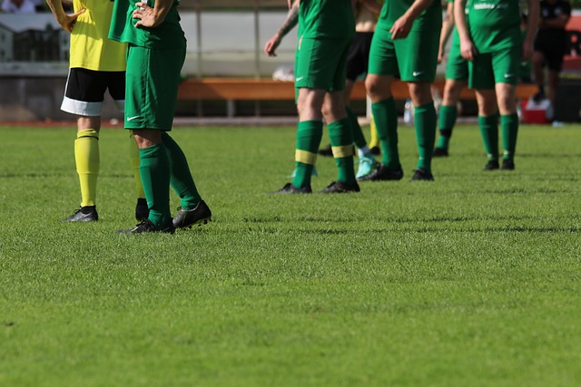 同样有权享 同样有权享