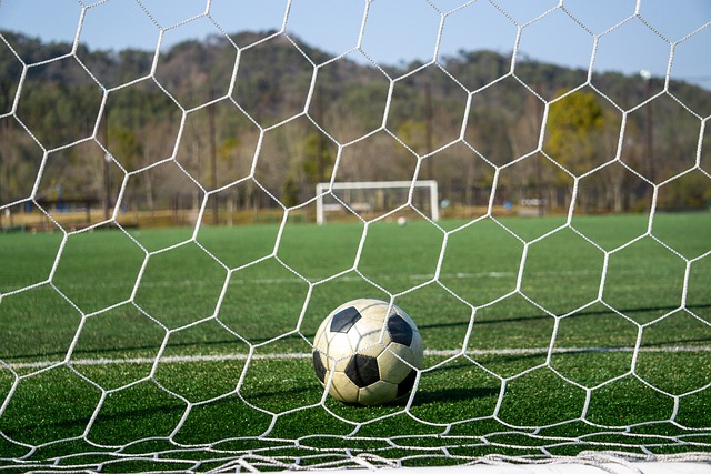 作为基础 作为基础