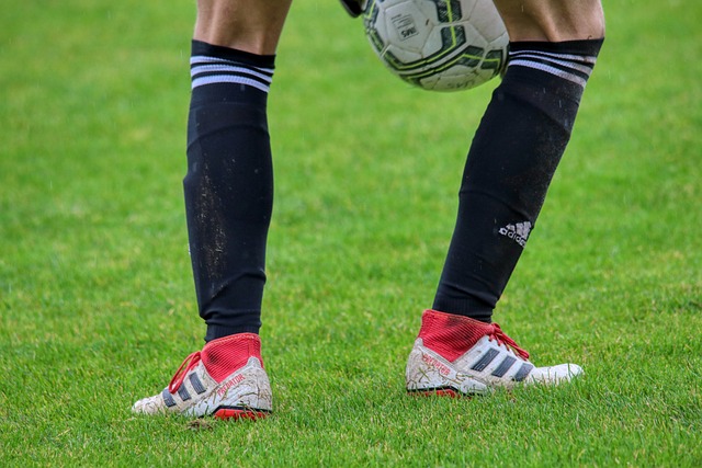 易将教练职 易将教练职