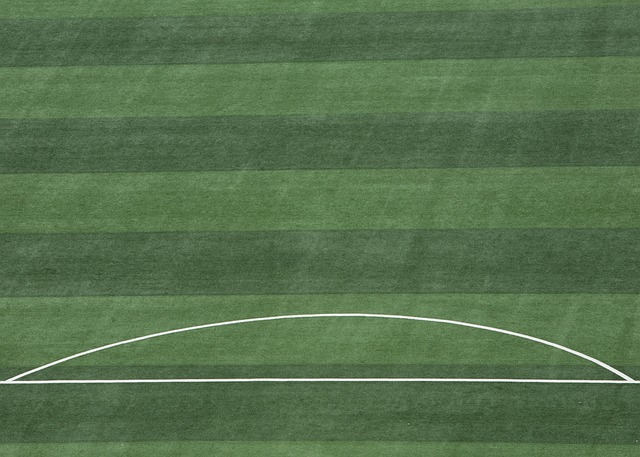 还让哈登在 还让哈登在