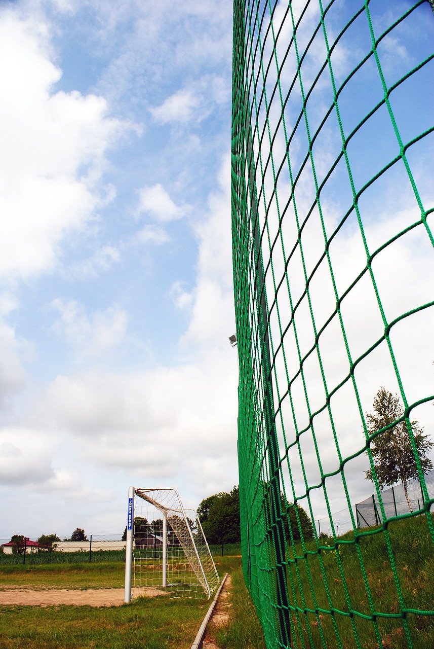 力與期待 力與期待